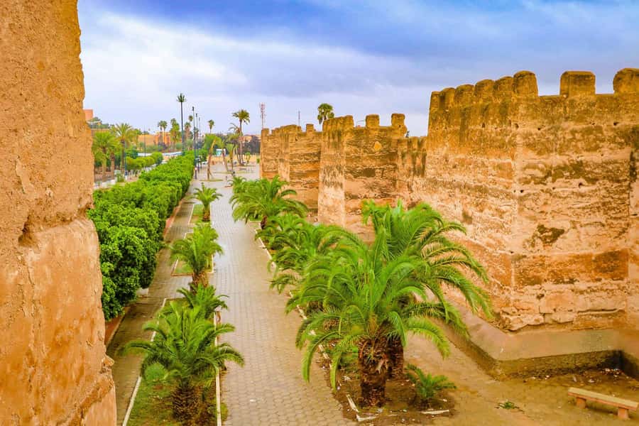 From Taghazout/Agadir: Taroudant and Tiout Day Trip & Tajine - The argan tree goat photo stop
