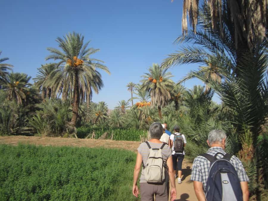From Taghazout/Agadir: Taroudant and Tiout Day Trip & Tajine - The Ali Baba kasbah question