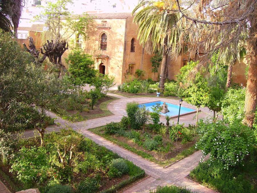 From Tangier: Chefchaouen Guided Full-Day Trip - Should you book the Chefchaouen day trip?