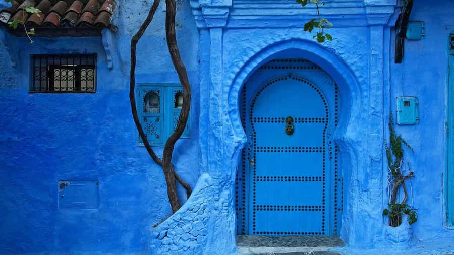 From Tangier: Day Trip to Chefchaouen and Akchour Waterfalls - Cold water, monkeys, and what to pack
