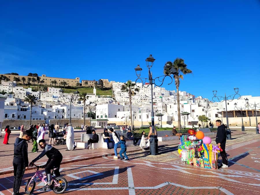 From Tangier: Day Trip to Tetouan with Local Guide - Why Tetouan makes a strong day trip from Tangier