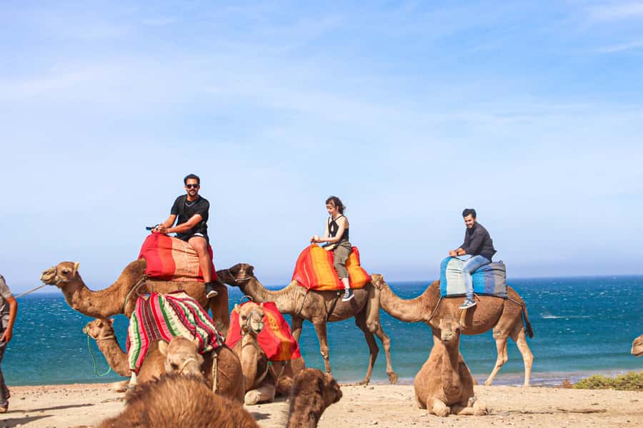 From Tangier: Full-Day Tangier, Asilah, & Cape Spartel Tour - Key points to know before booking