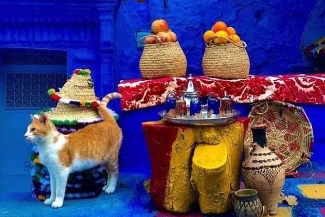 From Tangier: Special Day Trip to Chefchaouen and Tetouan - What the $60 price really buys