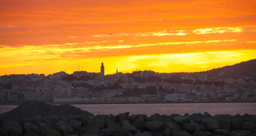 From Tarifa: Tangier Full-Day Trip with Lunch - The camel ride: fun, but very short