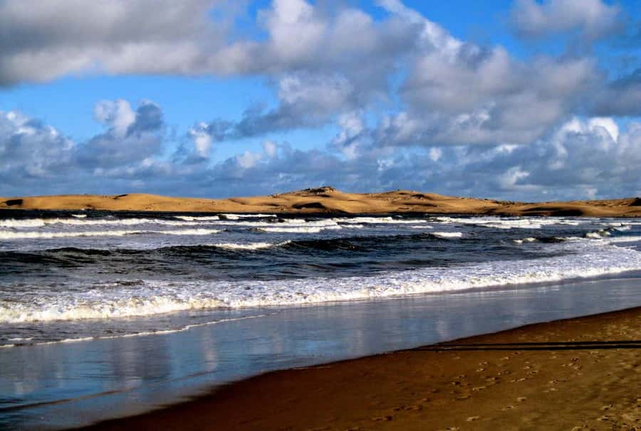 From Walvis Bay: Sandwich Harbour World Heritage Site - Starting at Walvis Bay Lagoon