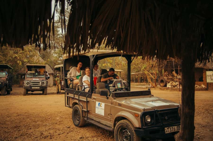 From Zanzibar: Day Selous Game Reserve Safari with Flights - From Zanzibar to the bush before breakfast