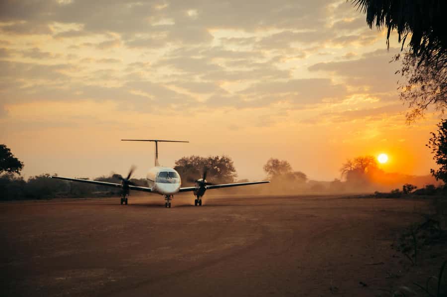 From Zanzibar: Day Selous Game Reserve Safari with Flights - Who should book this safari?