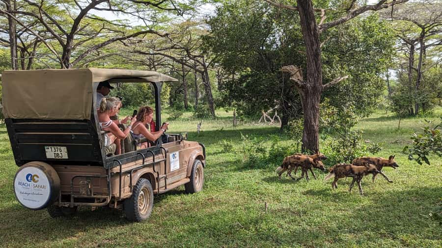 From Zanzibar: Day Selous Game Reserve Safari with Flights - Coffee, cake, and a table in the bush