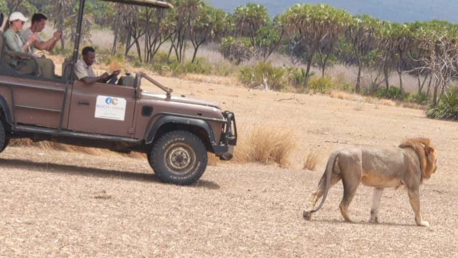 From Zanzibar: Mikumi Safari Day Trip with Flights and Meal - What to pack for a more comfortable day