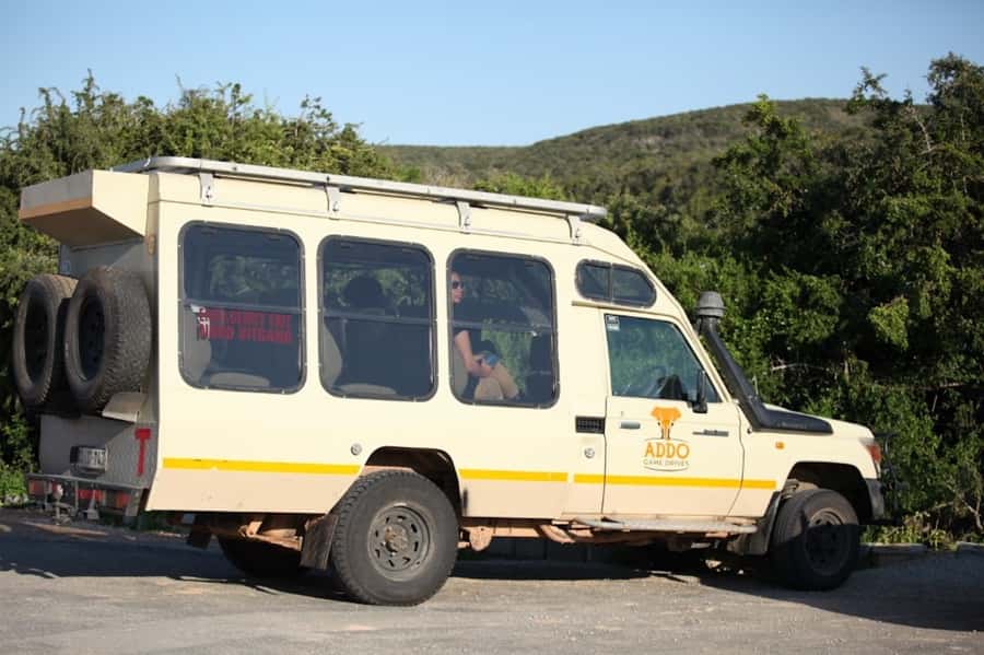 Full-Day All Inclusive Safari with Traditional Braai Lunch - Why Addo works so well for a one-day safari