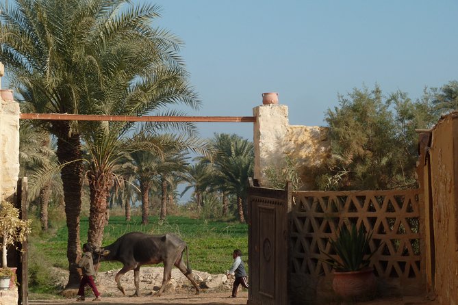 Full-Day Fayoum Oasis and Waterfalls of Wadi El-Rayan Tour from Cairo - Wadi El-Rayan’s manmade waterfalls