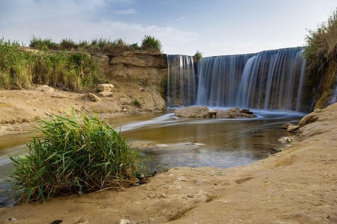 Full-Day Fayoum Oasis and Waterfalls of Wadi El-Rayan Tour from Cairo - Lake Qarun and the birds of a saltwater lake