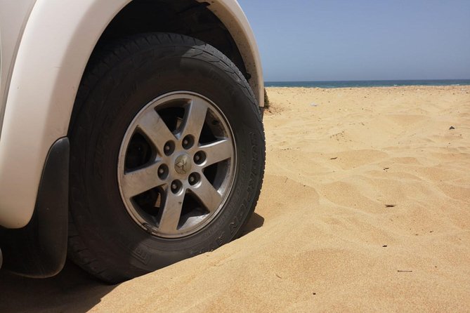 Full-Day Safari Small Desert With Lunch - The 4x4 ride, group size, and comfort