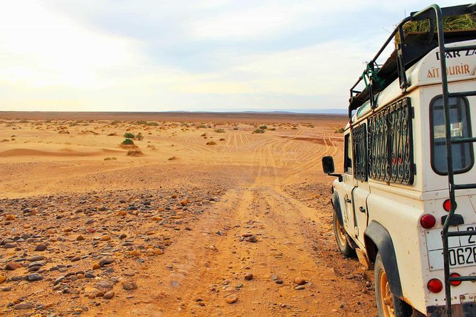 Full-Day Safari Small Desert With Lunch - Is $34.74 good value?