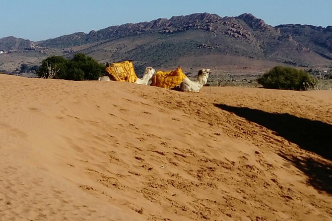 Full-Day Safari Small Desert With Lunch - Who should book this Agadir day trip?