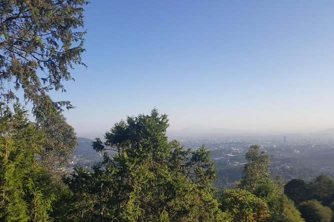 Full Day Tour of Addis Ababa with Hotel Pickup and Drop-off - Lunch at historic Taitu Hotel
