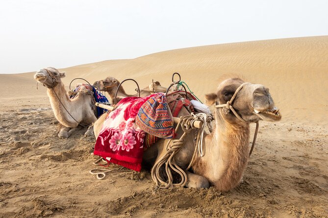 Full Day Tour to Desert Trip in Agadir with Lunch - A long day from Agadir into southern Morocco