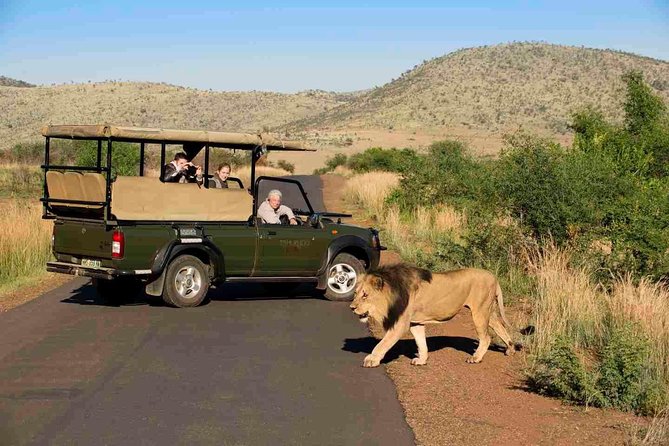 Full Day Ultimate Pilanesberg National Park Safari from Johannesburg or Pretoria - What the $159.89 price really covers