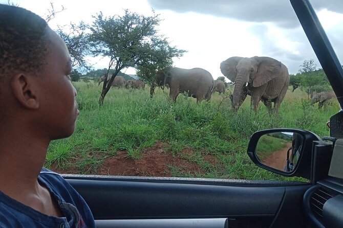 Full Day Ultimate Pilanesberg National Park Safari from Johannesburg or Pretoria - Lunch at Pilanesberg Center