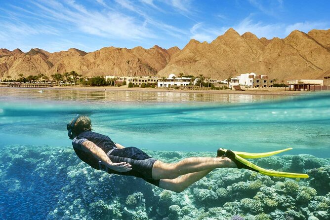 Full Relaxing Day To The Red Sea From Cairo Or Giza Hotel - Lunch served near the water