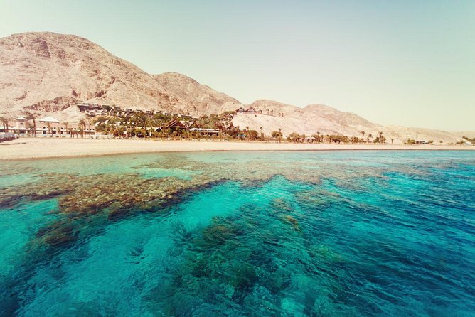 Full Relaxing Day To The Red Sea From Cairo Or Giza Hotel - How long do you actually spend at the sea?