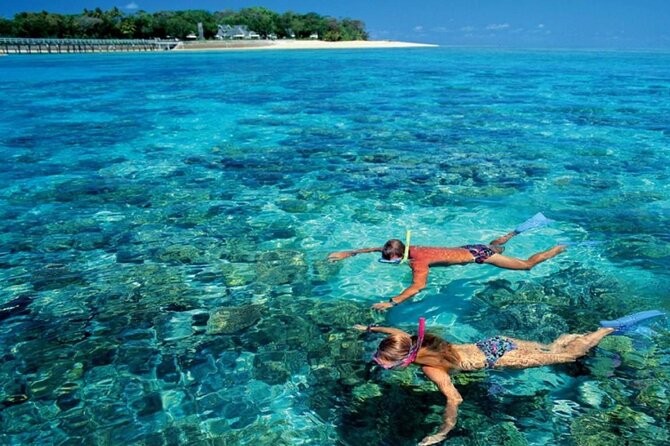 Full Relaxing Day To The Red Sea From Cairo Or Giza Hotel - Who should book this Red Sea day?
