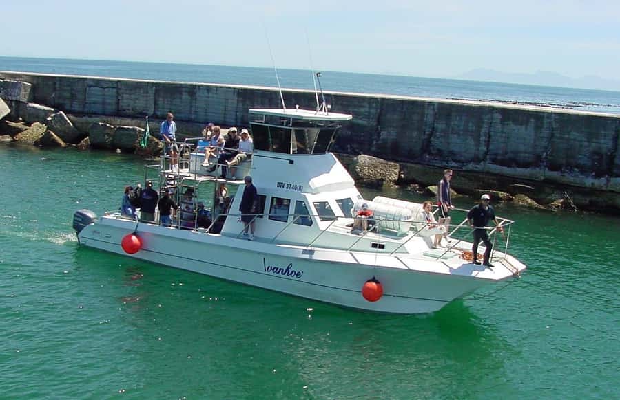 Gansbaai: Whale Watching Trip by Boat - Setting out from Gansbaai Harbour