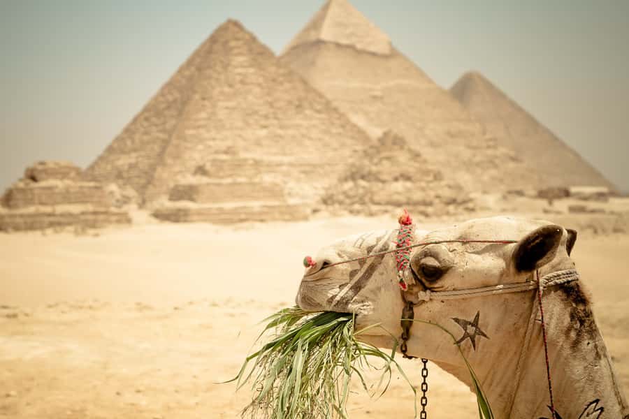 Giza Pyramids and Sphinx: Half-Day Private or Group Tour - The guides make the biggest difference