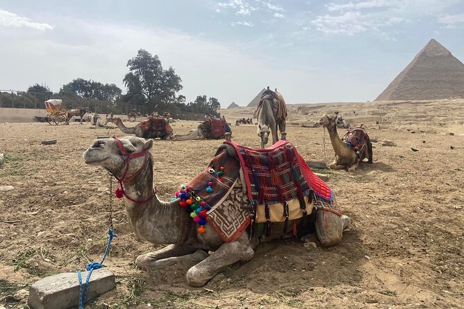 Giza Pyramids,Sphinx,Camel Ride,ATV Bike,Shopping, Dinner cruise - Camel riding adds the classic desert photograph