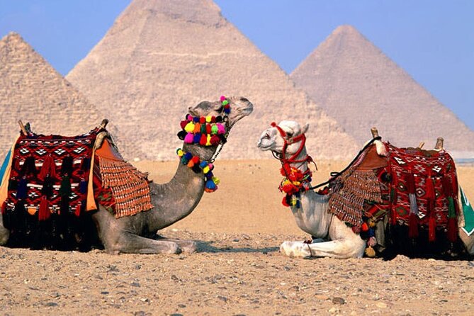 Giza Pyramids, Sphinx, Memphis, Saqqara, with private tour guide - The guides and drivers make the biggest difference
