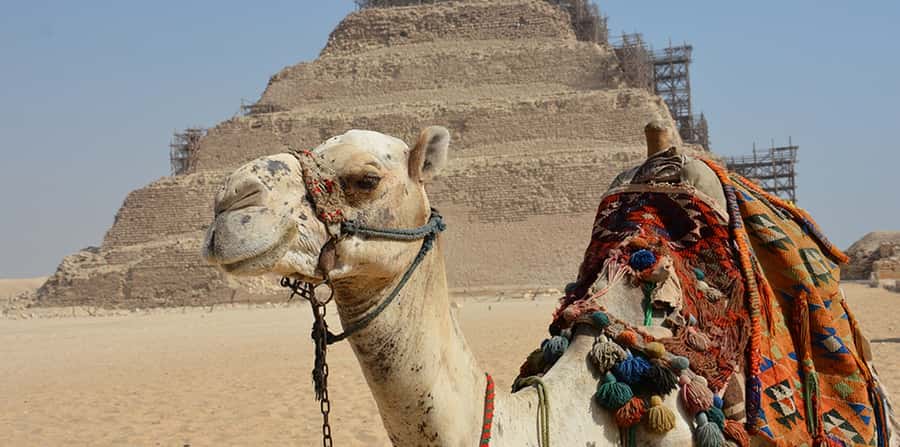 Giza: Sakkara, Memphis & Dahshur (Pyramid & Felucca Options) - Adding Giza’s Great Pyramids