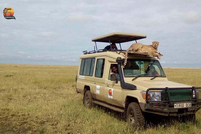 Group Safari 7 Days in Tanzania's Main Parks - Day 2: Lake Manyara’s forest and birdlife