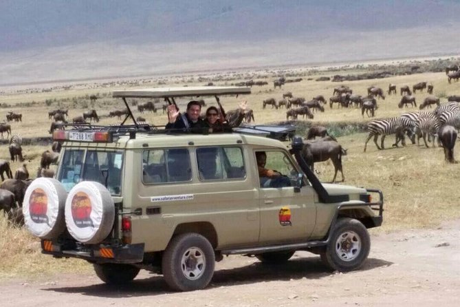 Group Safari 7 Days in Tanzania's Main Parks - Day 6: Tarangire brings a different kind of beauty