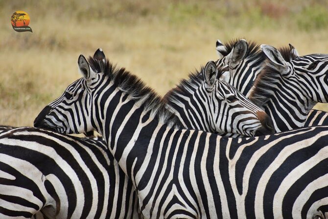 Group Safari 7 Days in Tanzania's Main Parks - Day 7: Arusha market and the airport transfer