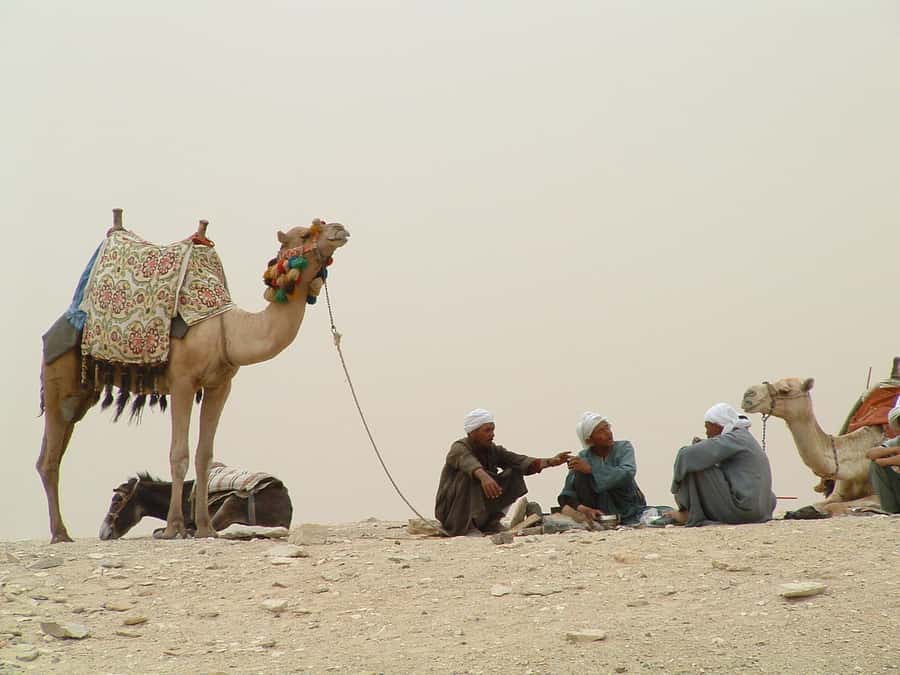 Half-Day Cairo Sightseeing Tour to Pyramids of Giza & Sphinx - A short route through Egypt’s biggest sight