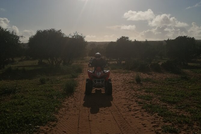 Half Day Quad in Agadir - Mint tea on a dune-side break