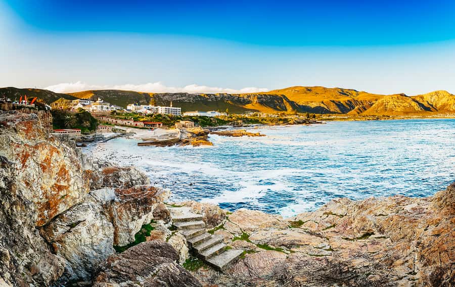 Hermanus: Whale and Dolphin Watching Boat Trip - Sunrise, family, and access considerations
