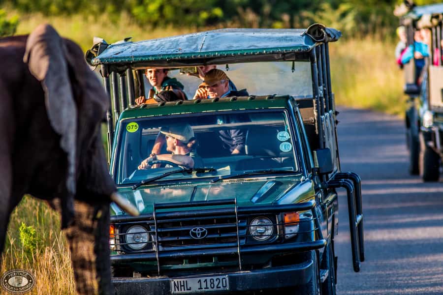 Hluhluwe-Imfolozi: Big 5 Full or Half-Day Safari - The 5:00 AM departure from St Lucia