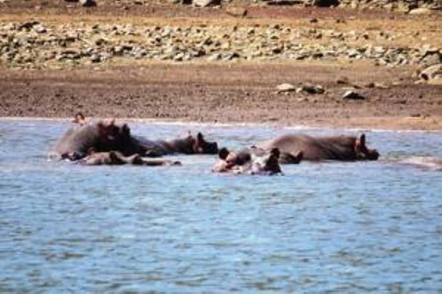 Hoedspruit: Blyde River Canyon Dam Boat Cruise - What happens during the 90-minute cruise