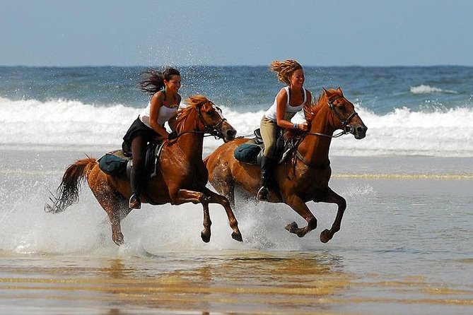 Horse Riding Agadir - The beach question deserves attention