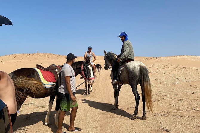 Horse Riding Agadir - Wildlife without a safari price
