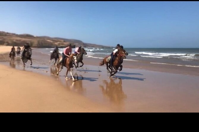 Horse Riding Agadir - Timing, comfort, and practical preparation