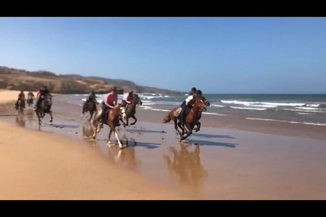 Horse Riding Agadir - Who will enjoy this most?