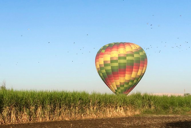 Hot Air Balloon Ride in Luxor Egypt with Transfers Included - Landing is the part to take seriously