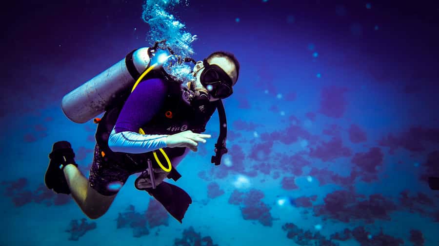 Hurghada: 1, 2, 3, 4, or, 5-Day Scuba Diving Package - Who should choose this Hurghada package?