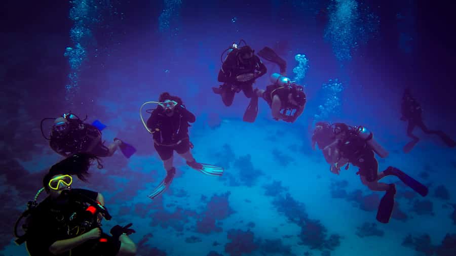 Hurghada: 1, 2, 3, 4, or, 5-Day Scuba Diving Package - What the $58 price includes, and what it does not