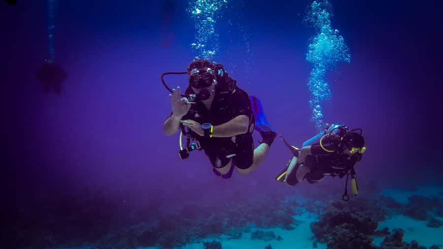 Hurghada: 1, 2, 3, 4, or, 5-Day Scuba Diving Package - What the customer ratings tell you