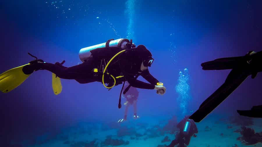 Hurghada: 1, 2, 3, 4, or, 5-Day Scuba Diving Package - The certified schedule: two 45-minute sessions