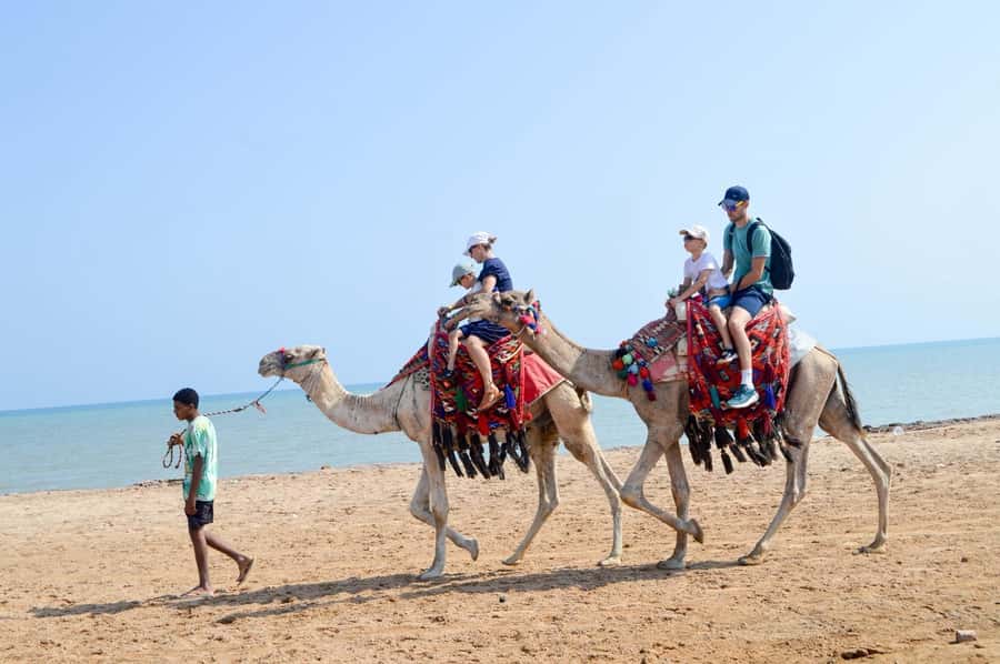 Hurghada: 1-Hour Desert & Beach Camel Ride with Transfers - Key points at a glance