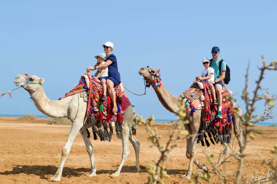 Hurghada: 1-Hour Desert & Beach Camel Ride with Transfers - Across Hurghada’s desert sand